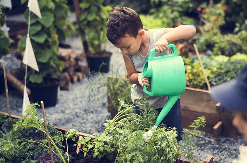 Community Gardening