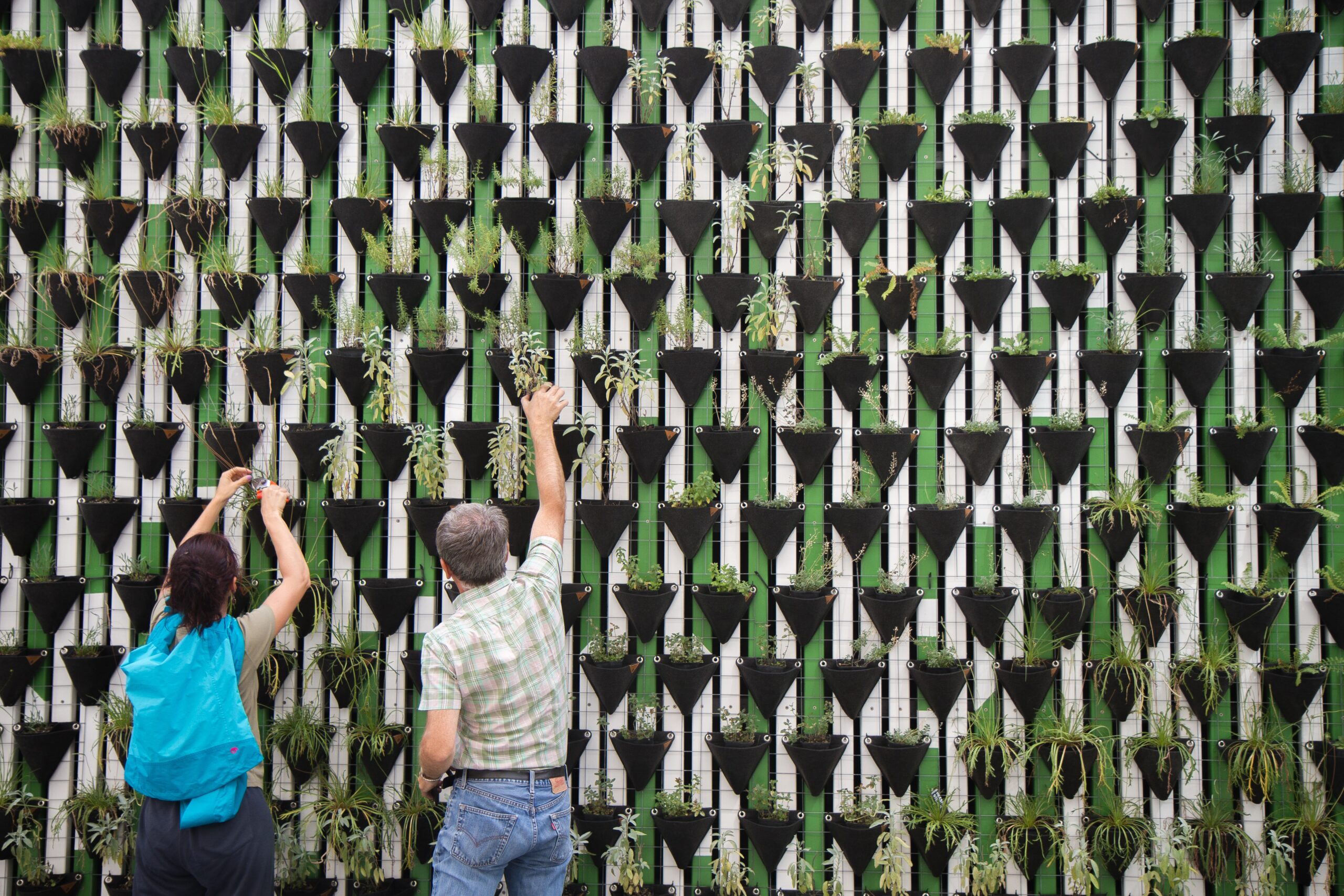 Community helping in Vertical garden